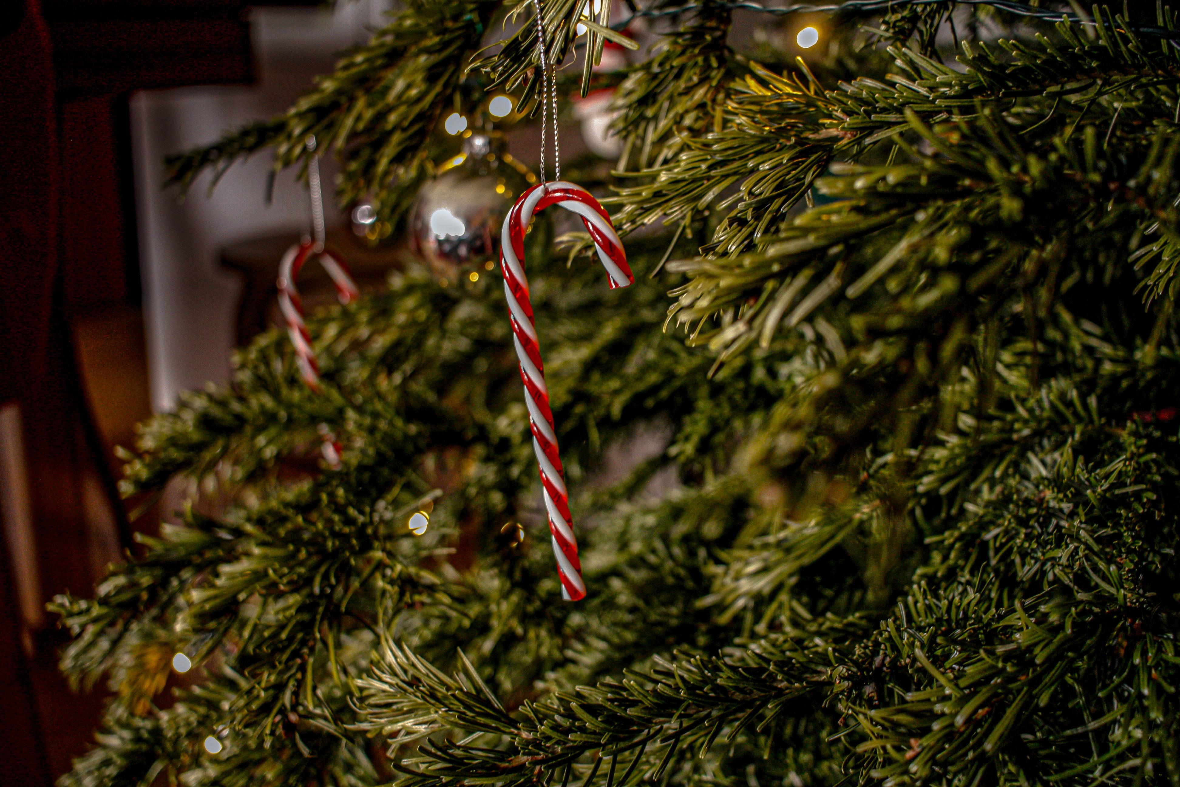 Britse dokter waarschuwt «Steek geen kerstdecoratie in je anus» foto